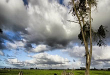 开云体育直播-篮网力克塞尔维亚男篮，丹尼·格林打破历史纪录