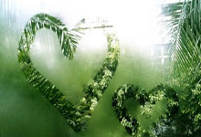 开云体育下载-美国网球队力克日本网球队，梅德韦杰夫惊艳世界